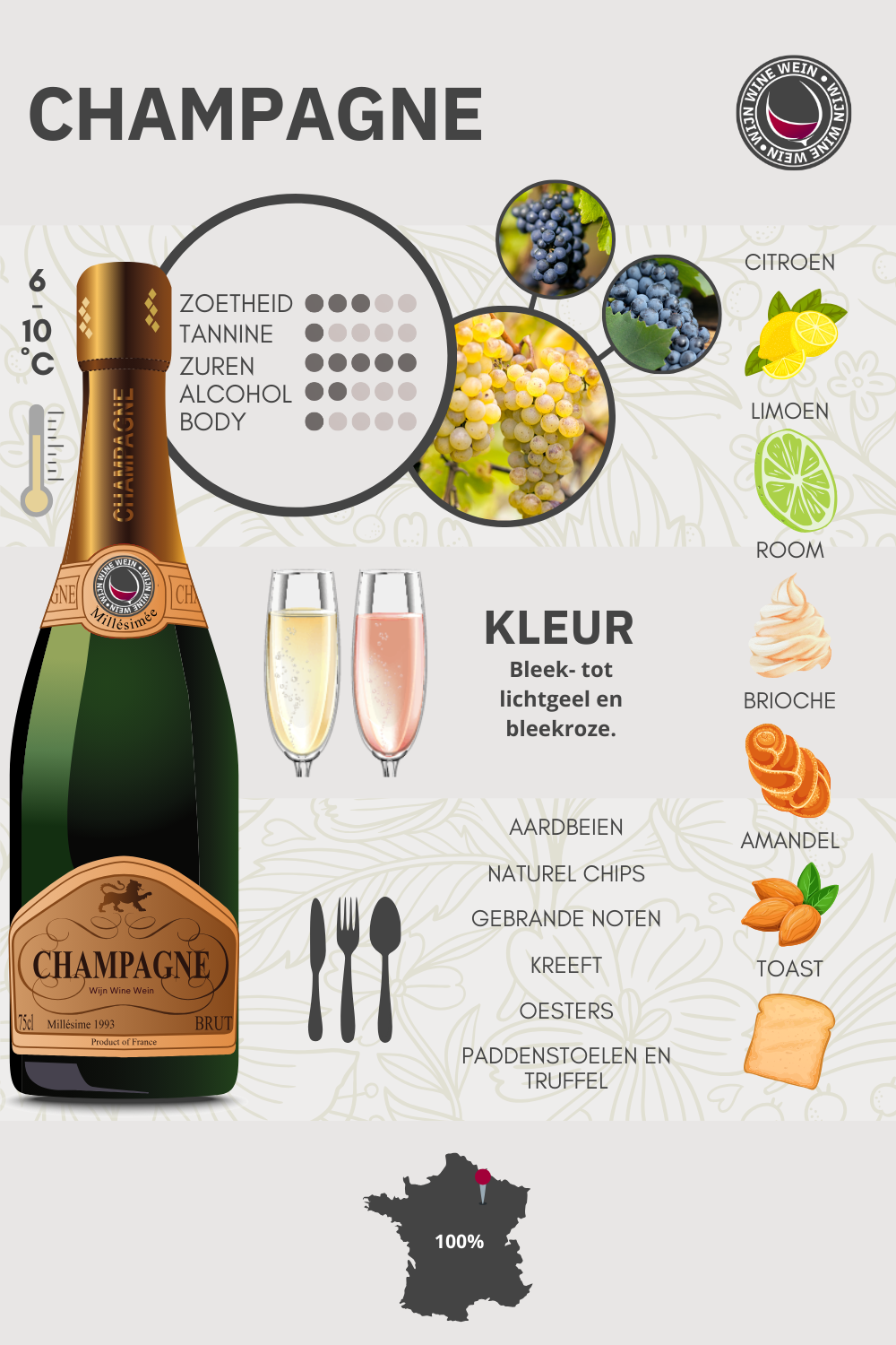 Champagne Wijn Guide