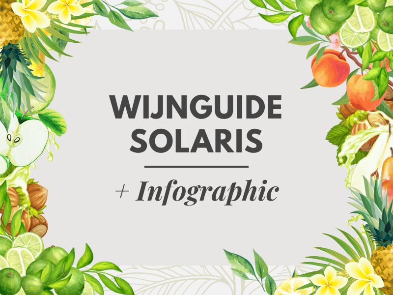 Solaris Wijn Guide + Infographic