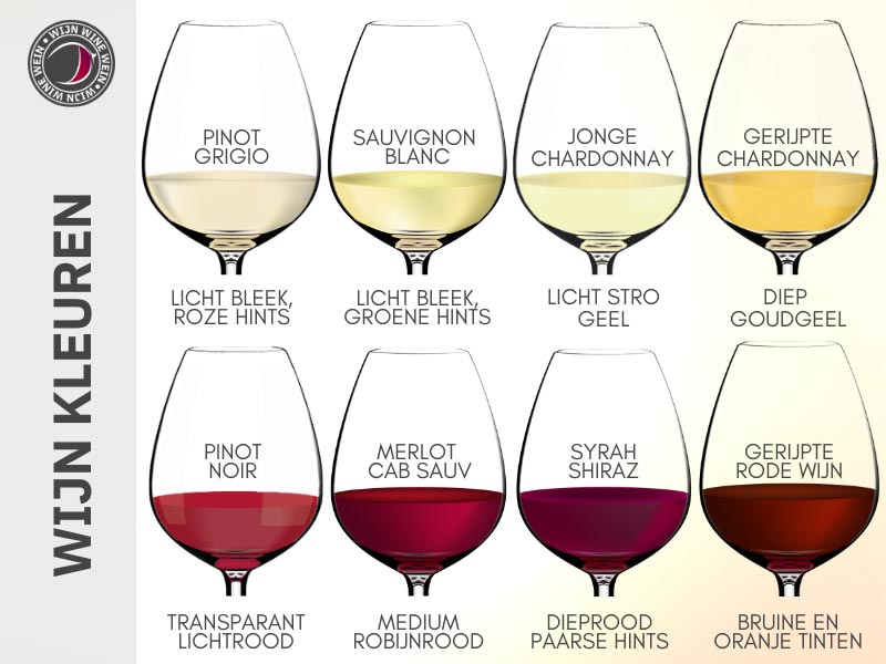 Wijn kleuren Ontrafelt: Complete Wijn Kleurenkaart