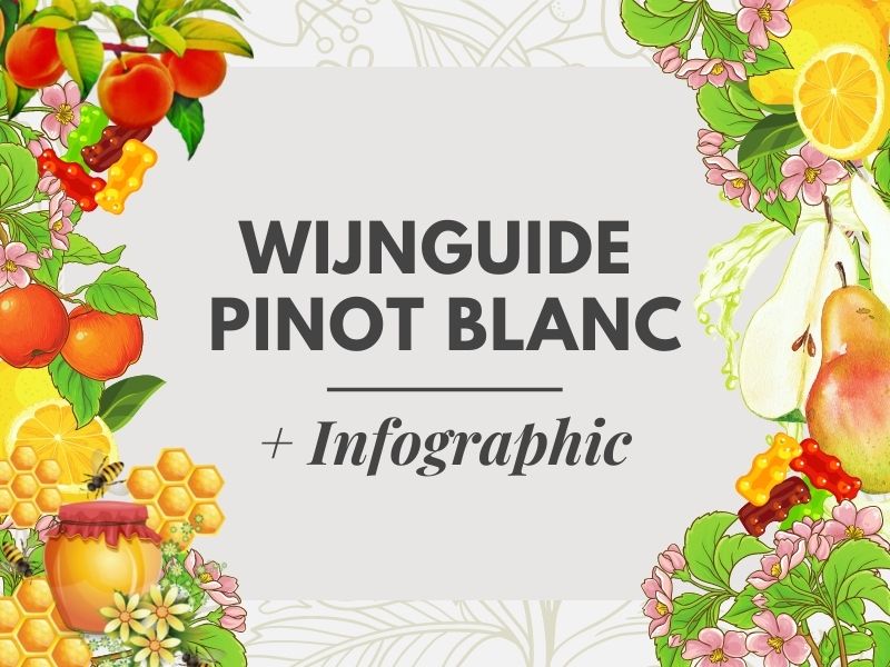 Wat is Pinot Blanc? Wijn Guide 101 + Infographic