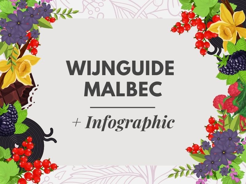 Wat is Malbec? Wijn Guide + Infographic