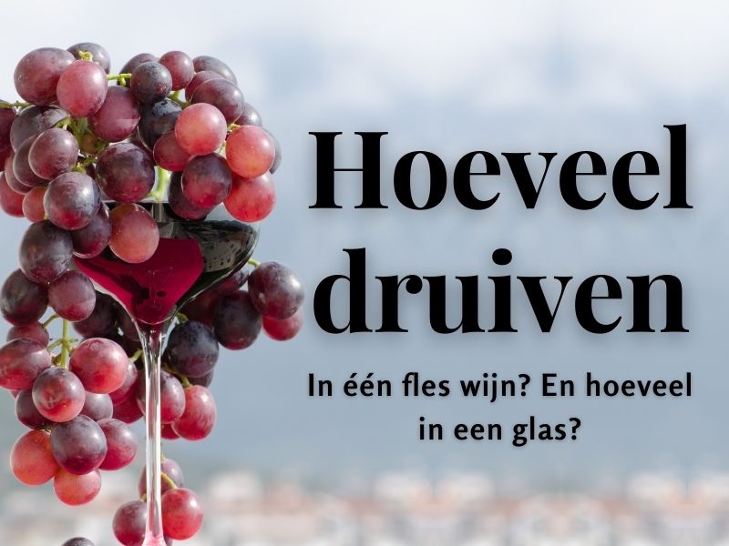 Fascinerende Wijn Feiten 75+ Leukste Wijnweetjes Wijn Wine Wein Fascinerende Wijn Feiten 75+ Leukste Wijnweetjes Wijn Wine Wein