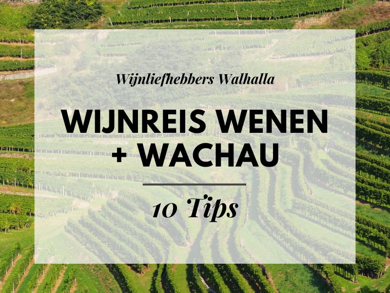 Tips voor jouw wijnreis naar Wenen + Wachau!