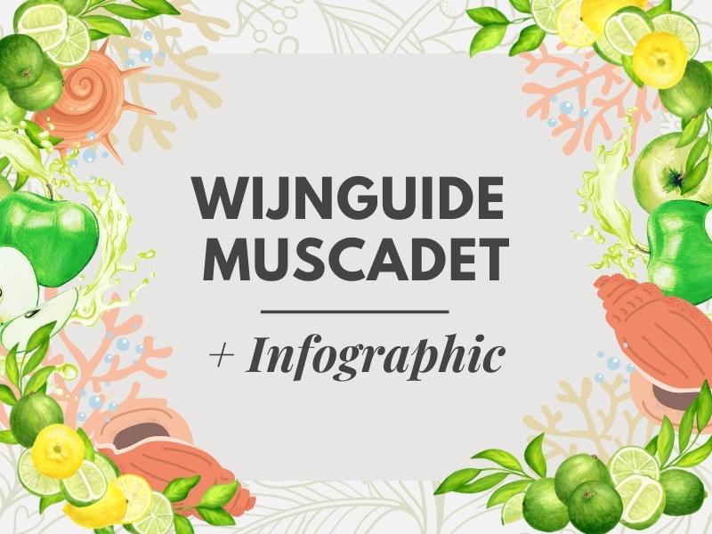 Wat is Muscadet? Wijn Guide 101 + Infographic