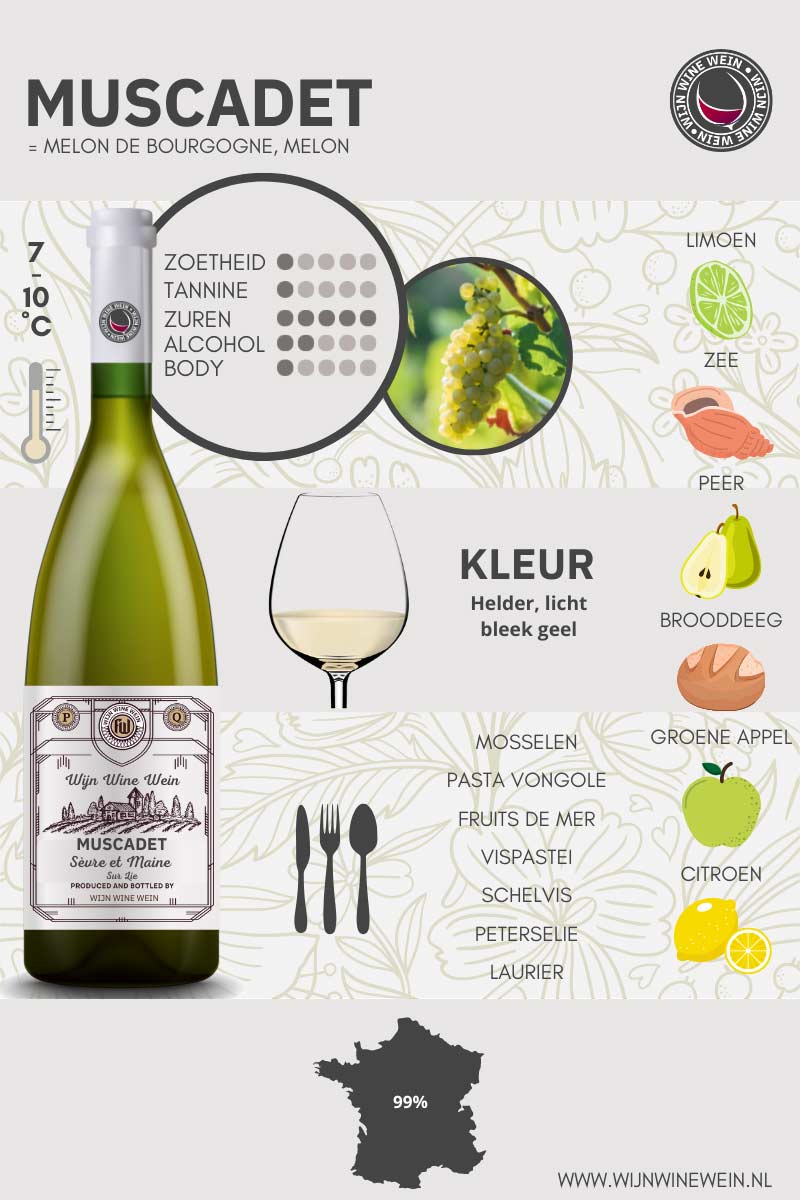 Wat is Muscadet? Wijn Guide 101 + Infographic Wijn Wine Wein