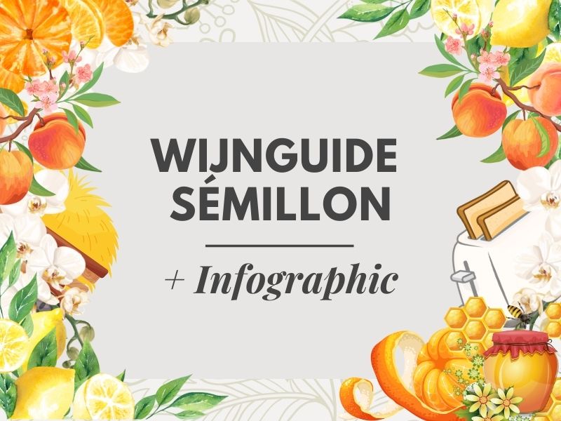 Wijn Guide Semillon Druif + Infographic
