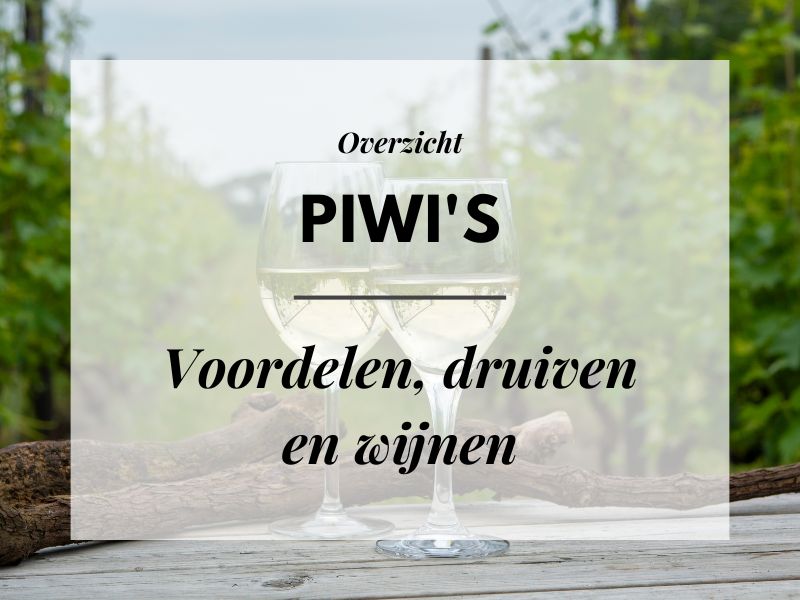 Wat is een PiWi? Voordelen + wijndruiven Overzicht