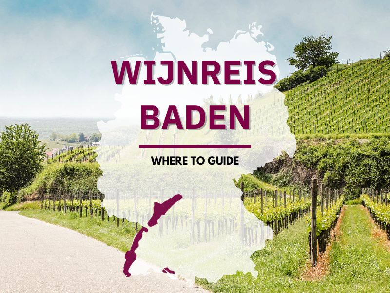 Wijnreis Baden: verrassend Wijngebied