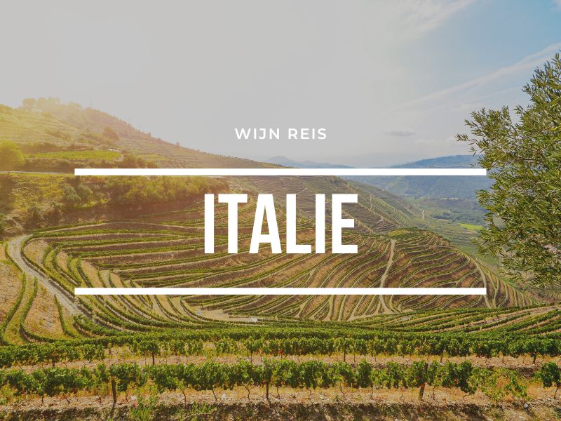 Wijnreis Italië - Tips, Wijngebieden en Wijnproeverijen