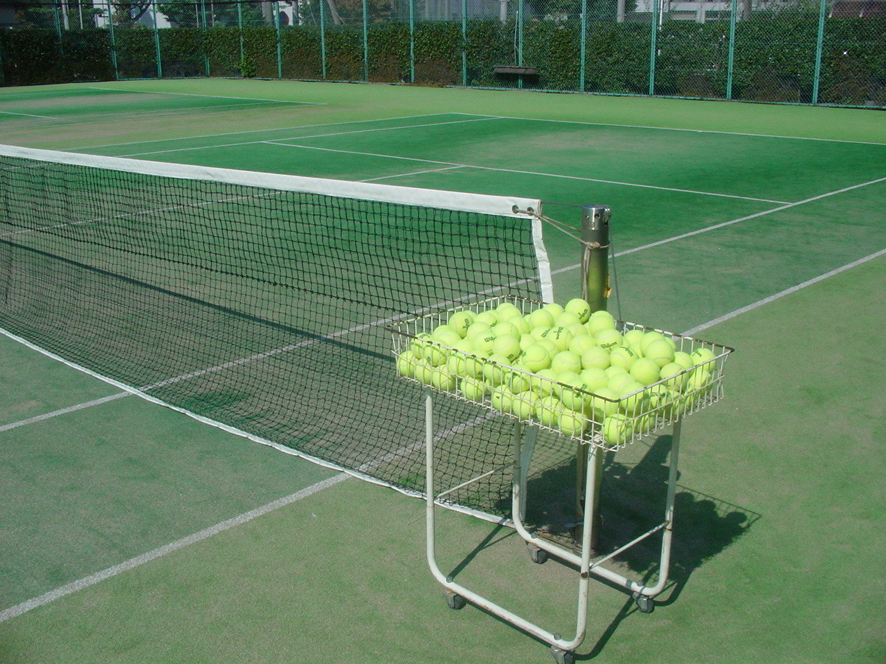 川崎市幸区のテニススクール Y2tennis ページ 川崎市幸区のテニススクール Y2tennis ページ