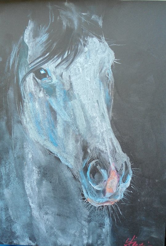 horse