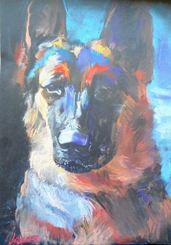 shepherd