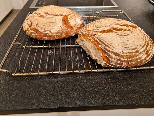 Foto der fertig gebackenen Brote auf einem Gitter zum Abkühlen.