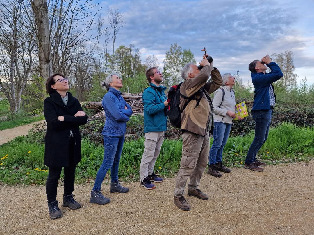 Monatstreff April: Vogelstimmen-Tour in Montabaur