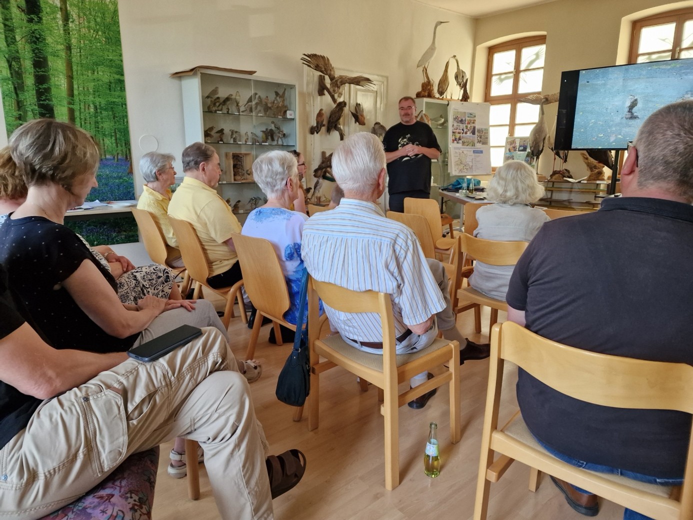 Die Domestikation des Wolfes