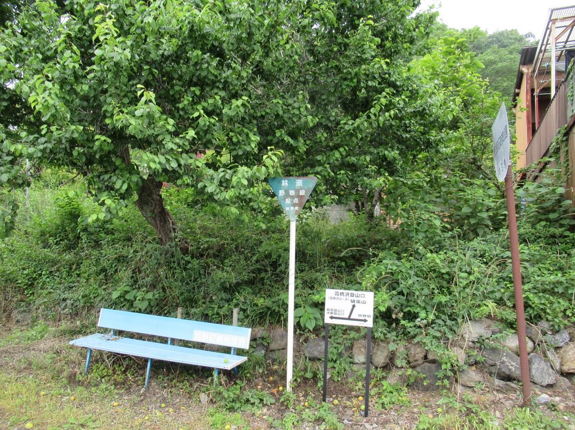 車道から野巻林道に入る