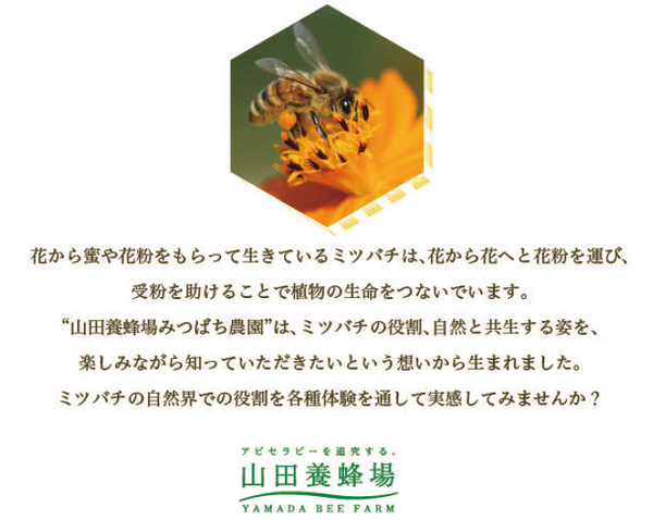 園内紹介 山田みつばち農園 いちご狩り 動物とのふれあい 岡山県北お出かけスポット