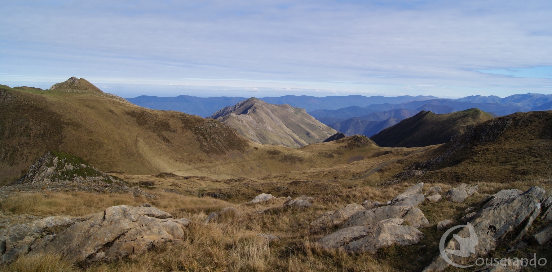 Découverte des oiseaux dans les Pyrénées ariégeoises