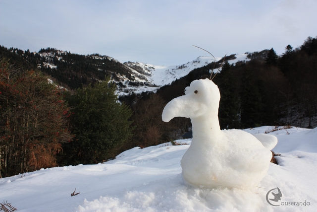 Drôle d'oiseau - Atelier Animaux fantastiques - Doriane GAUTIER, Couserando - Guzet Ariège Pyrénées