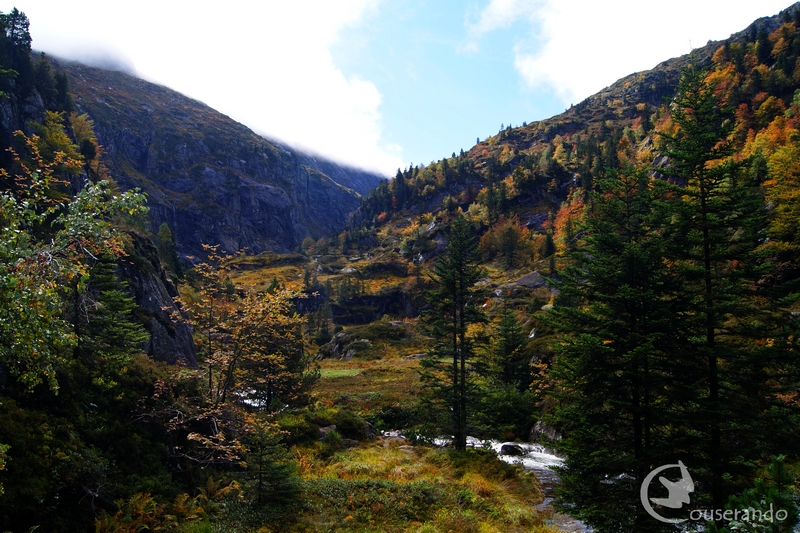 Dernières dates avant la saison d'hiver !