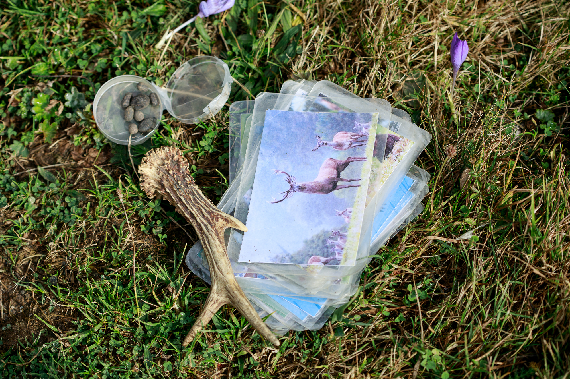 Animations Nature à Guzet