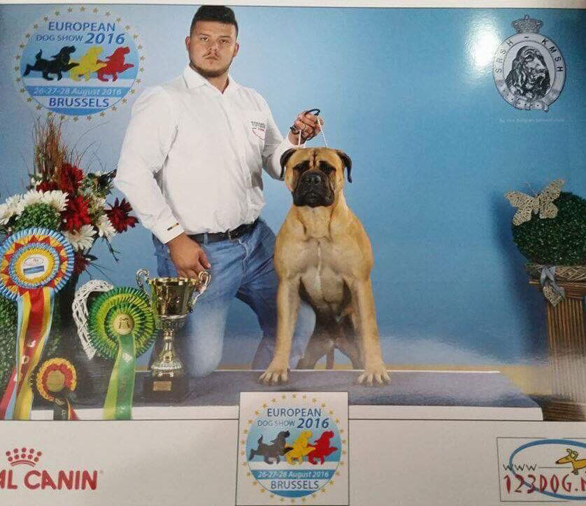 "EXCELLENT" in Champion class (Handler Catana Tudor)