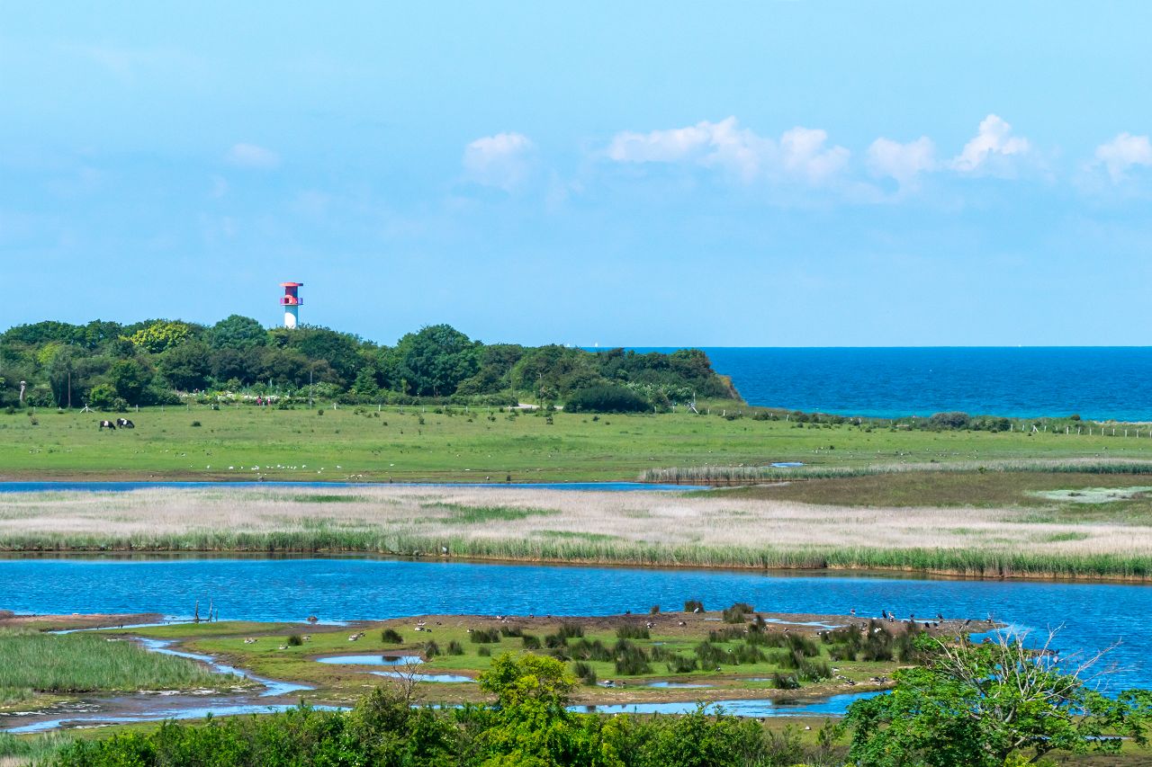 Naturschutzgebiete mit seltenen Tierarten