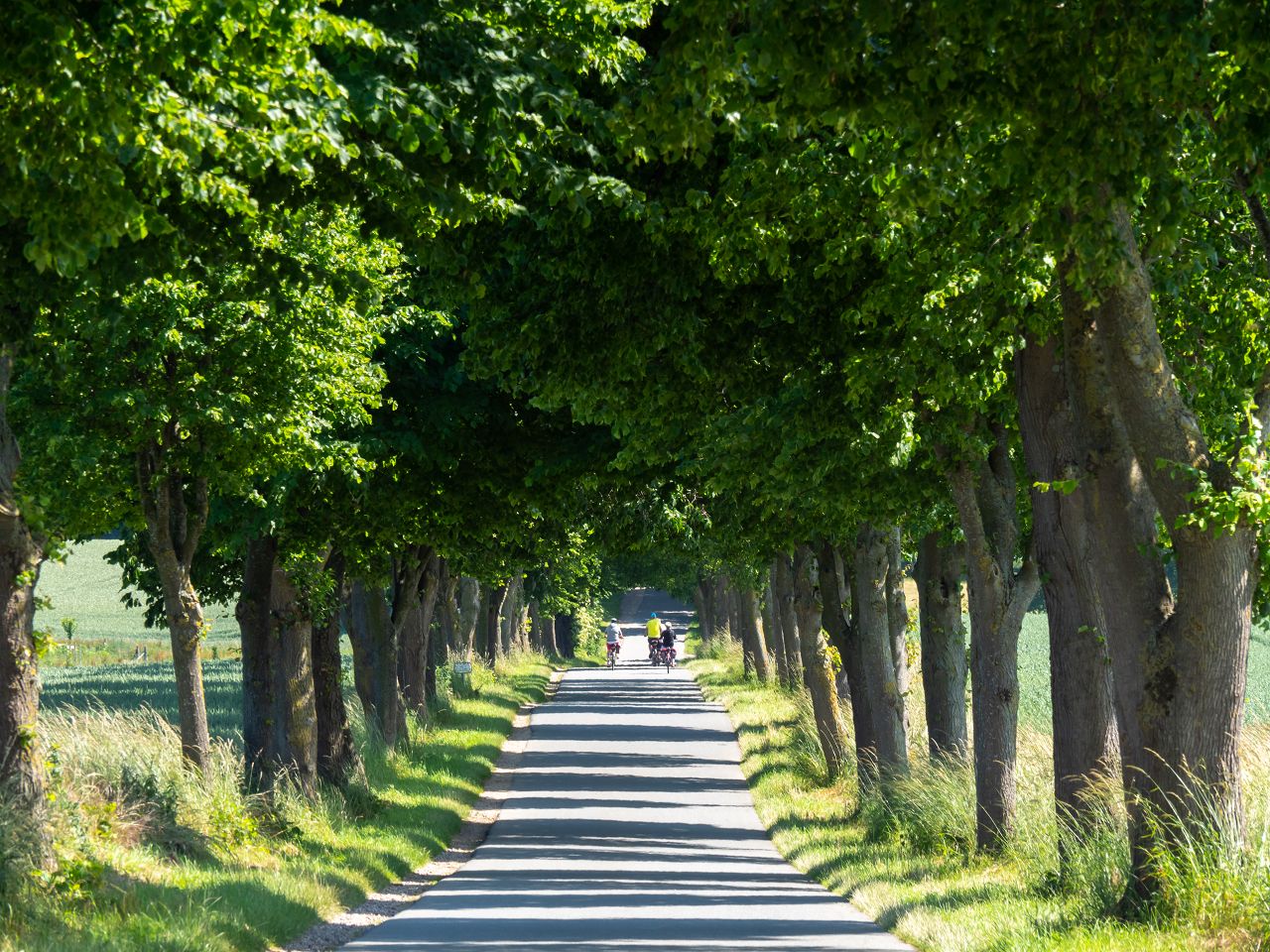 Fahrradausflüge durch die Natur