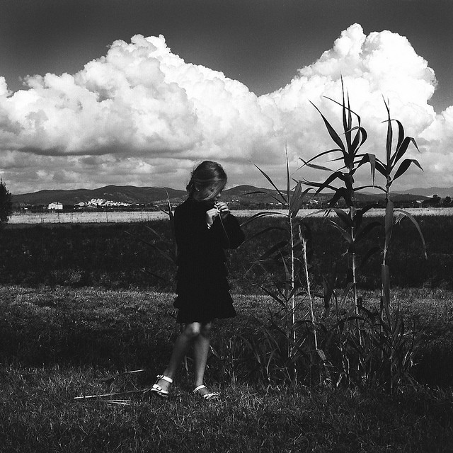 Arina in campagna vicino Piombino Livorno