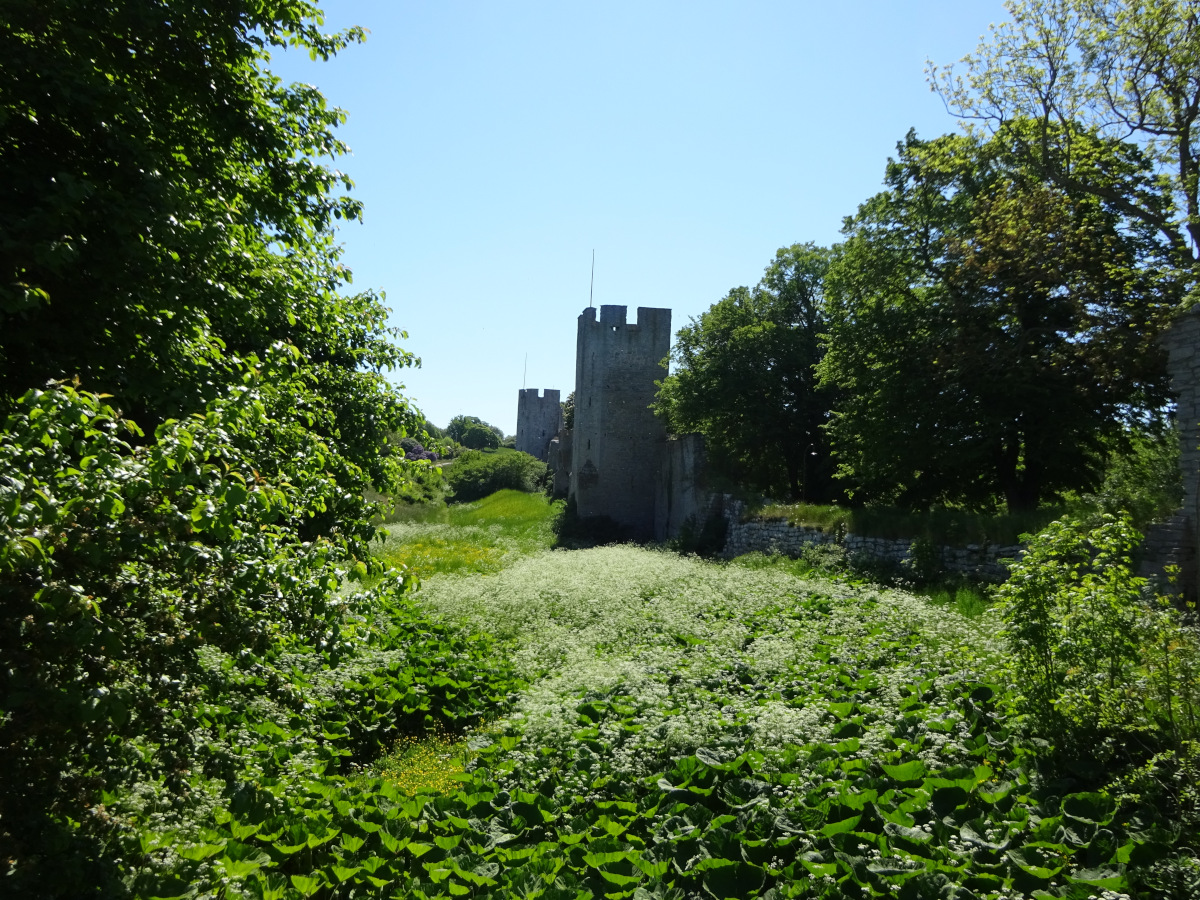 Die alte Stadtmauer von Visby 