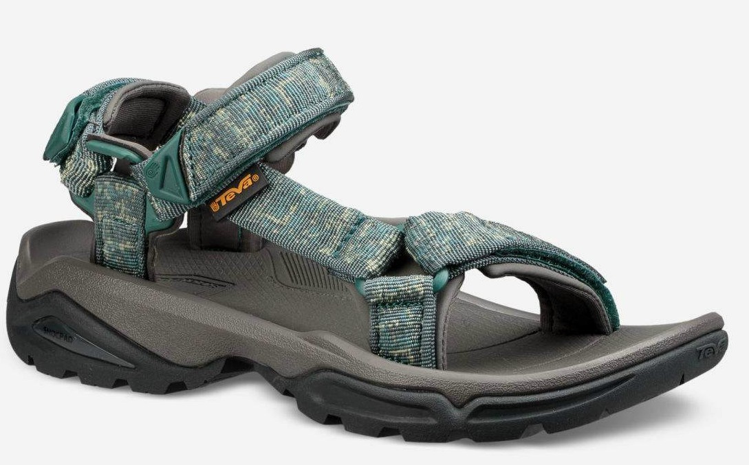 teva w