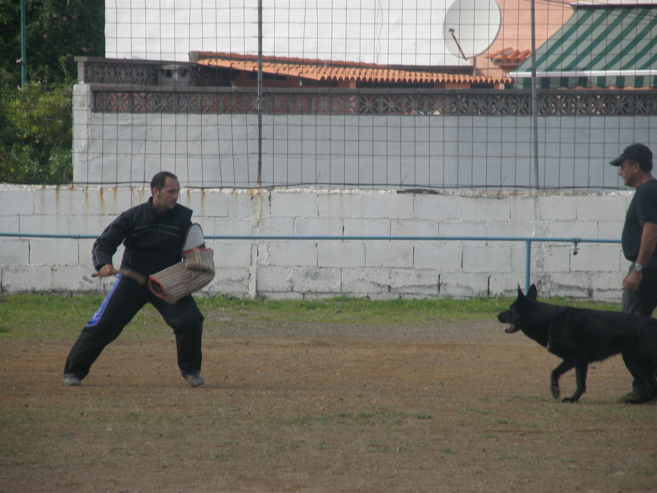 PRUEBA TAORO