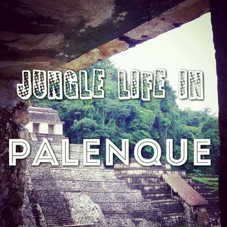 Jungle life in Palenque