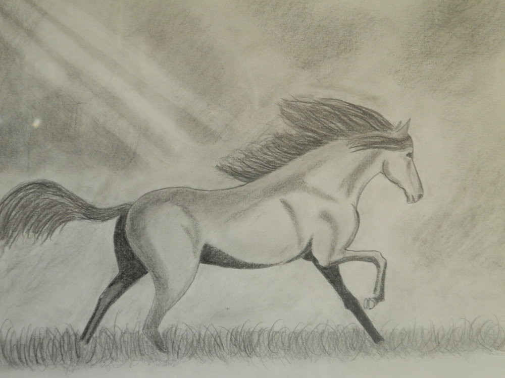 Galop