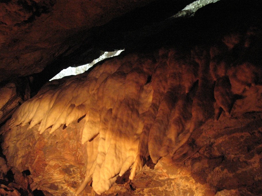 IS0/IZ0KRC  The cave of "Sardinian Cervus" Vertical hole