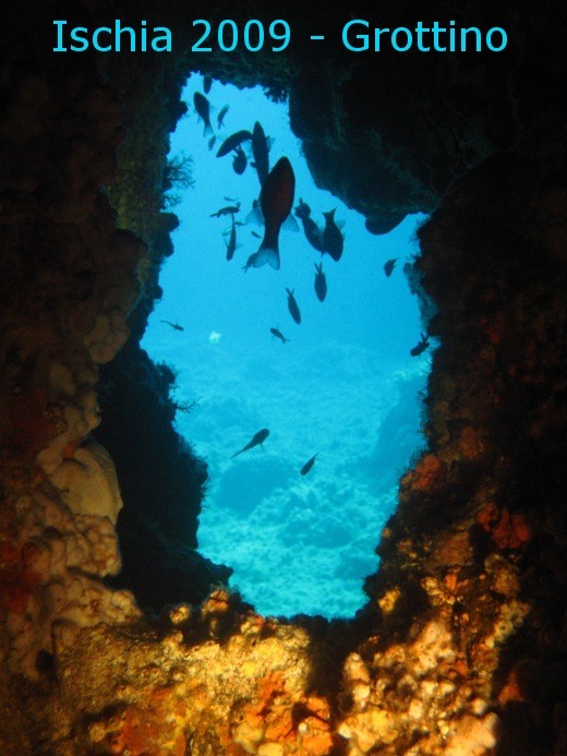 IC8/IZ0KRC - Underwater photo during holiday in Ischia '09