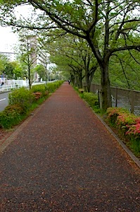 花殻の花柄