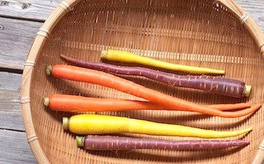 何本でもニンジン 直売場でみつけた 生は牛蒡より固く キンピラにして食べた 大地の味がするぞ