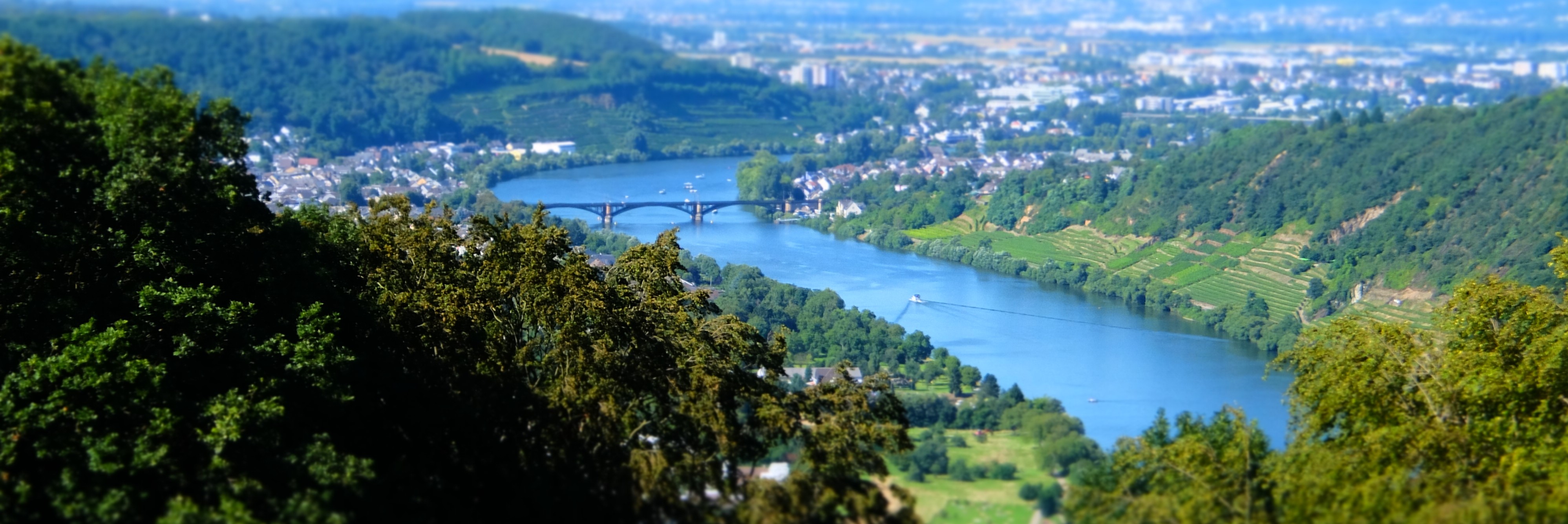 singletrails koblenz