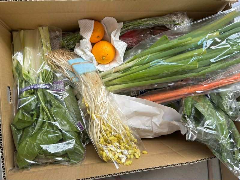 伝統野菜セット