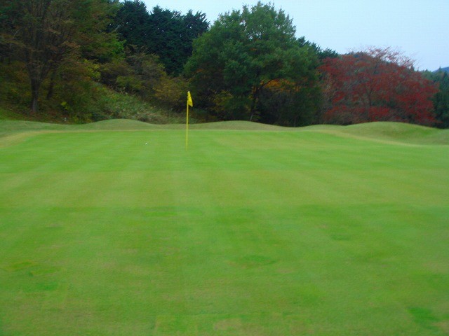 パインズ日光ゴルフ倶楽部 15H PAR4　グリーンは、小さい尾根がグリーンを3分割している。