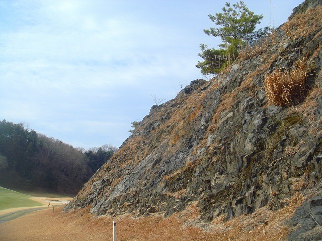 東コース　イン 13番　PAR4　右サイドの岩