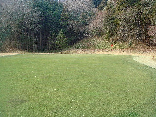 東コース　イン 16番　PAR4　グリーンは、手前が高い2段グリーン、ピンが絡むと難しい。