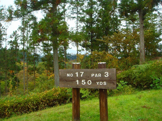 パインズ日光ゴルフ倶楽部 17H PAR3　距離のあるショート。