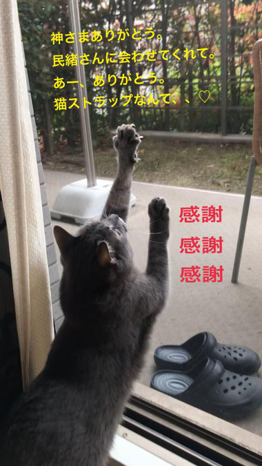photo by Chie