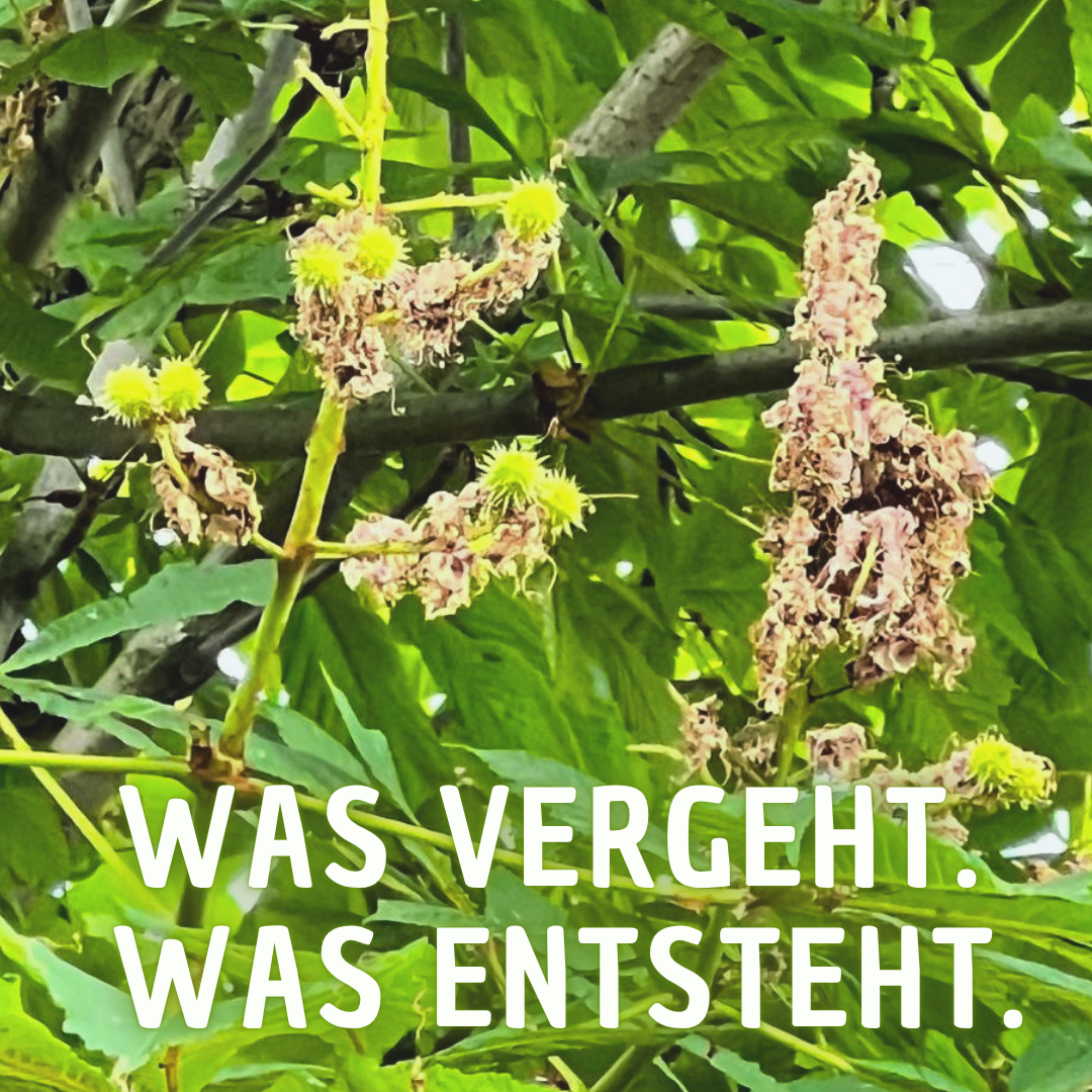 Mitten im Mai