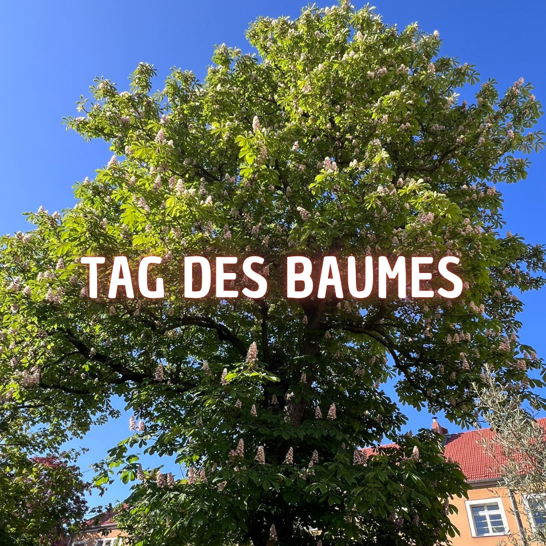 Tag des Baumes