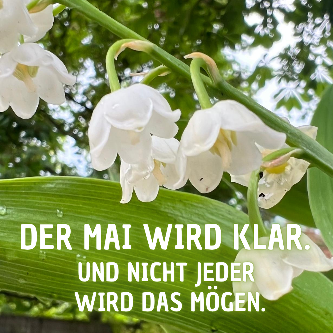Der MAI ist da!