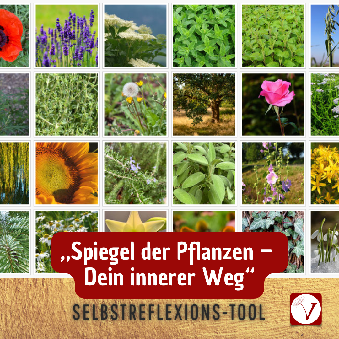 Spiegel der Pflanzen – warum sie uns so tief berühren