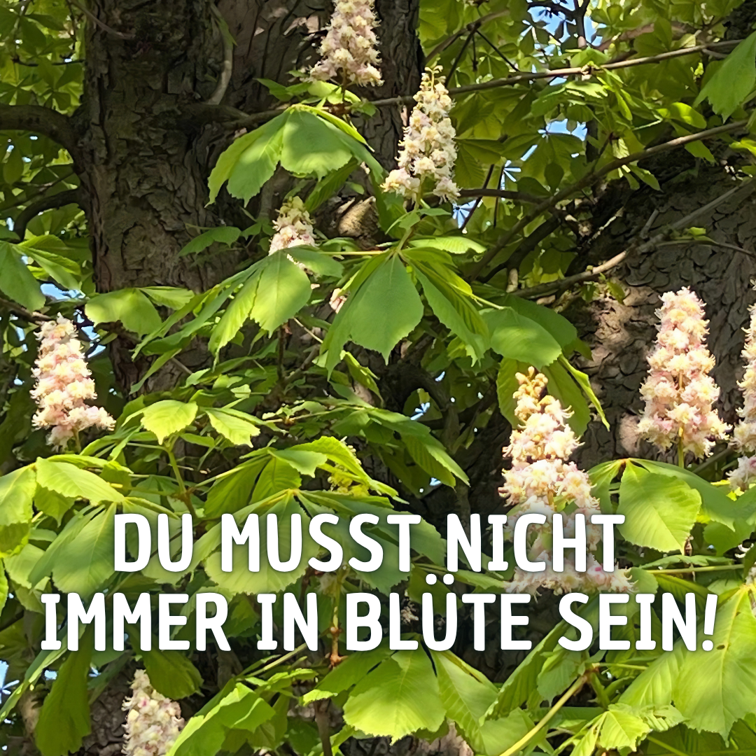 Wo stehst Du gerade?